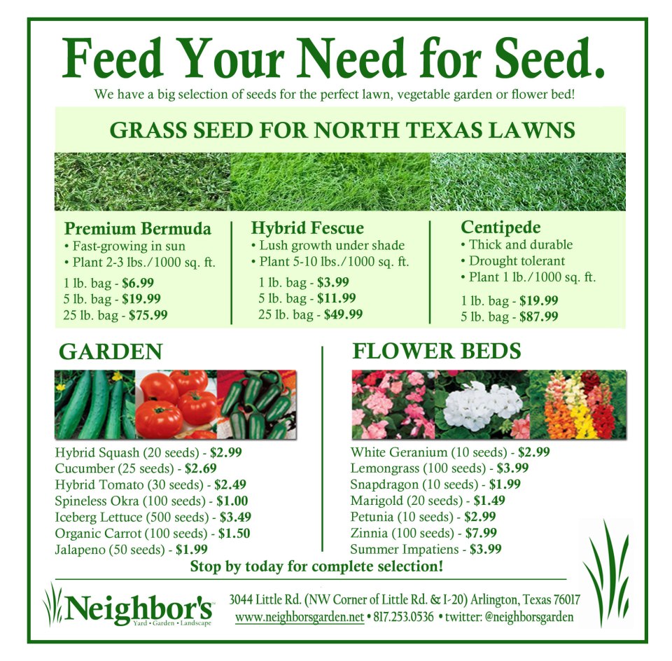 Concept: Newspaper insert